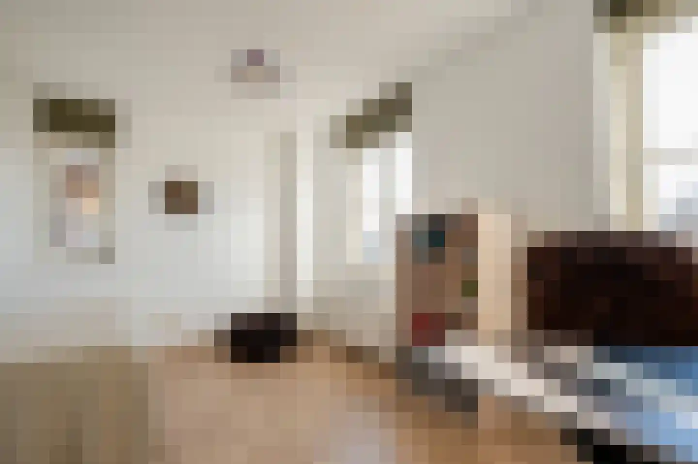 Zevenwoudenlaan 56 Den Haag thumbnail 36