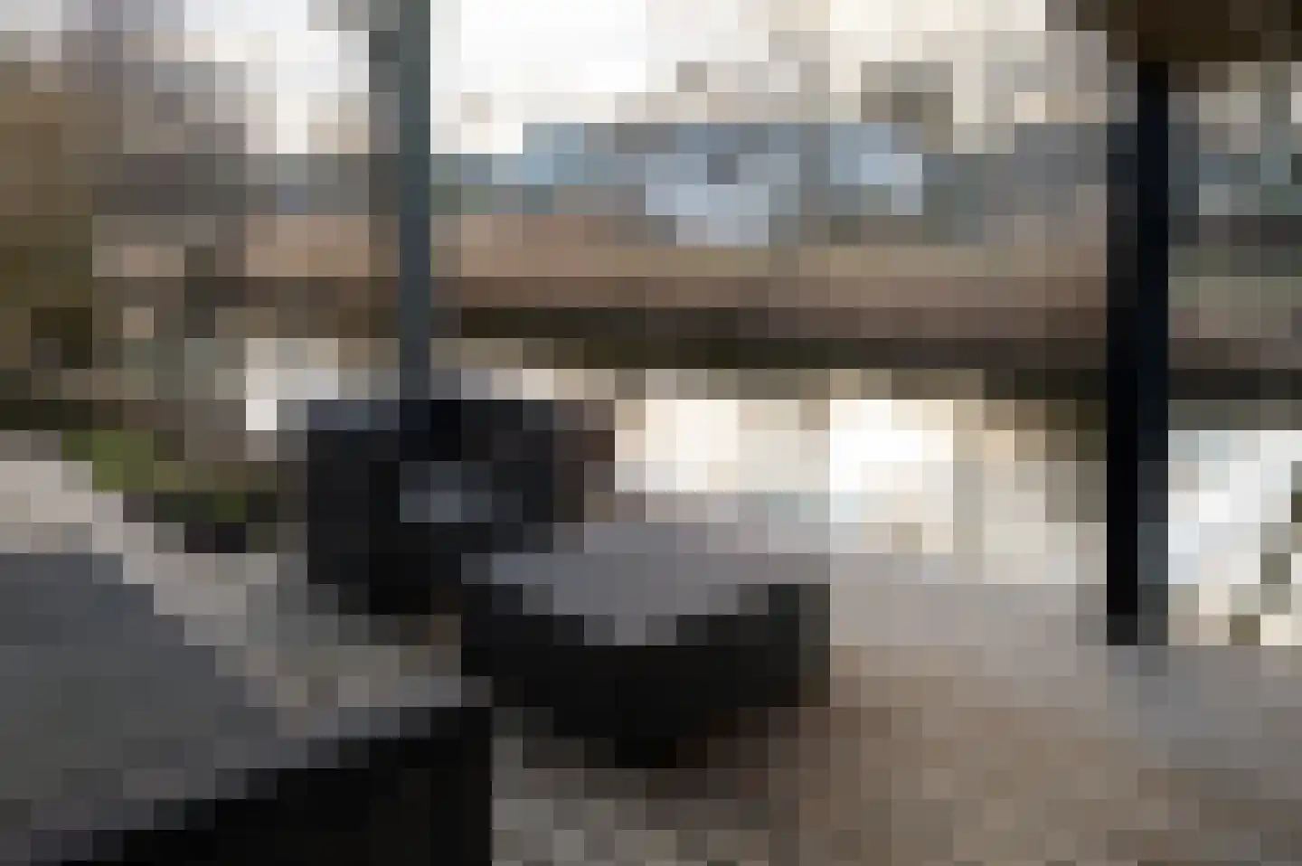 Zevenwoudenlaan 56 Den Haag thumbnail 66