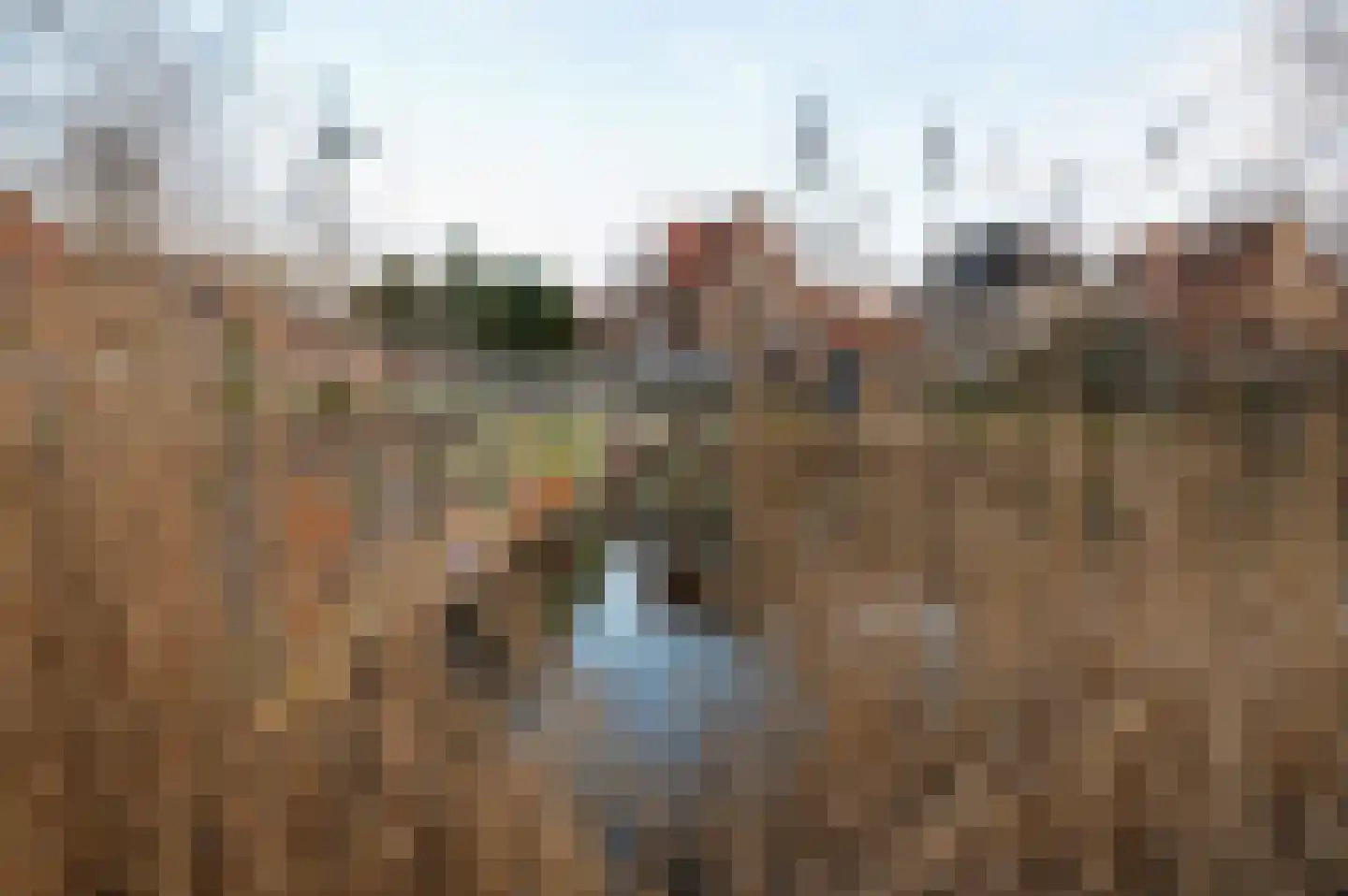 Zevenwoudenlaan 56 Den Haag thumbnail 73