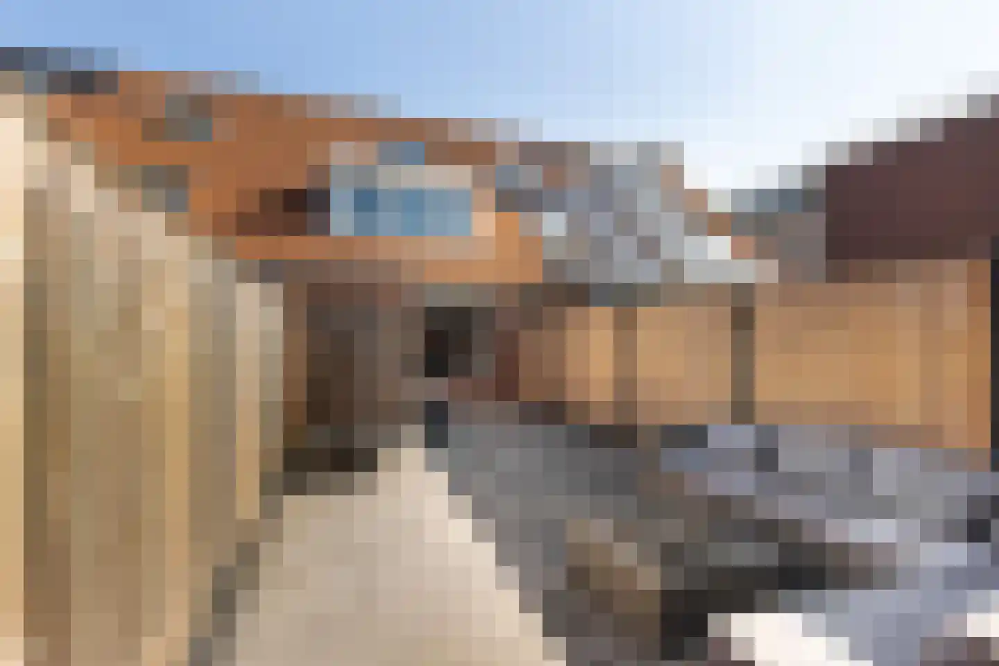 Zevenwoudenplantsoen 11 Haarlem thumbnail 23