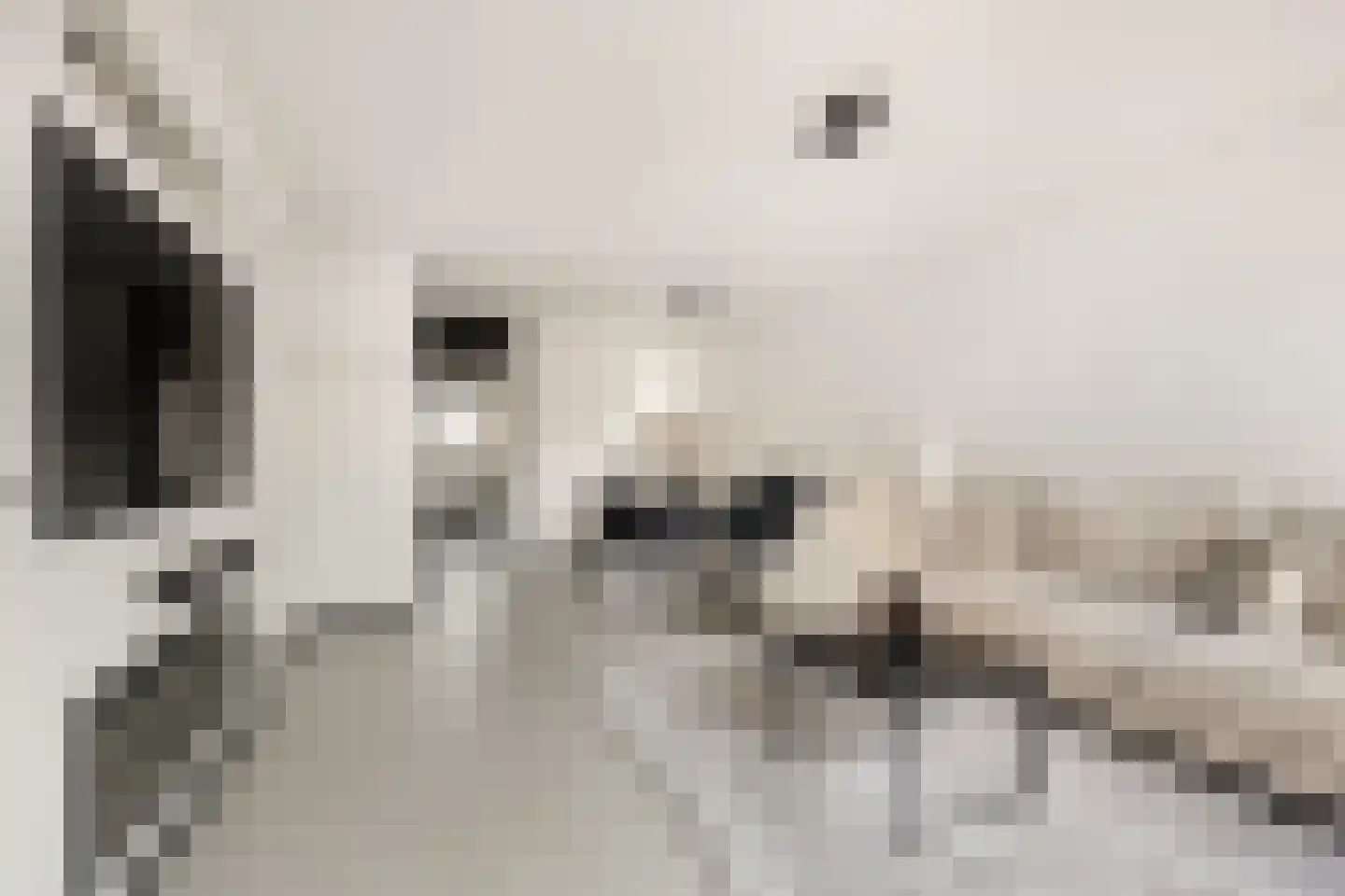 Zevenwoudenplantsoen 11 Haarlem thumbnail 5