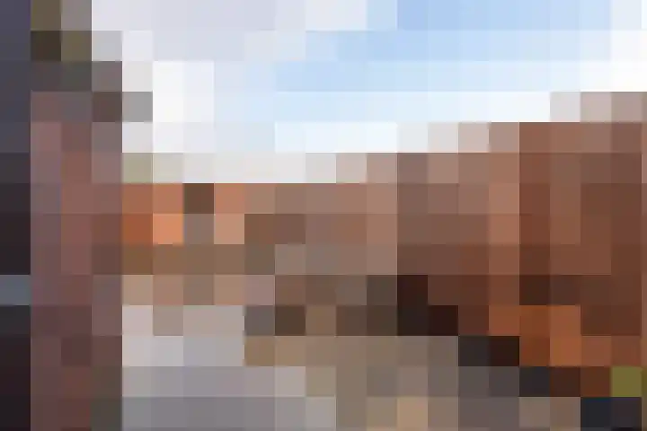 Zevenwoudenplantsoen 13 Haarlem thumbnail 16