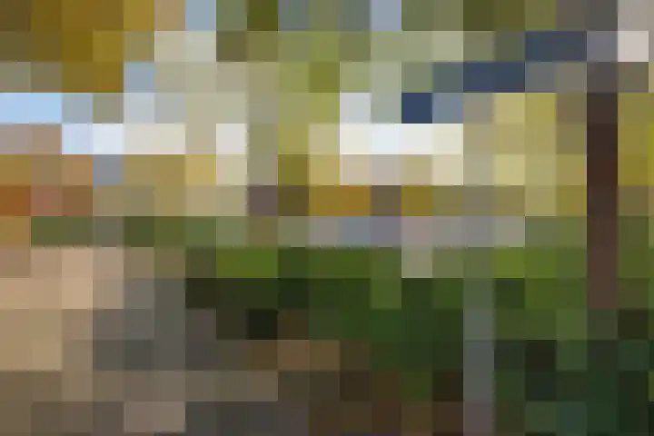Zevenwoudenplantsoen 13 Haarlem thumbnail 20