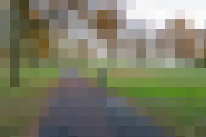 Zevenwoudenplantsoen 13 Haarlem thumbnail 22