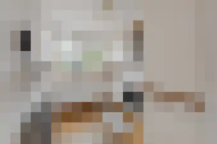 Zevenwoudenplantsoen 13 Haarlem thumbnail 5