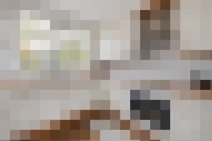 Zevenwoudenplantsoen 13 Haarlem thumbnail 6