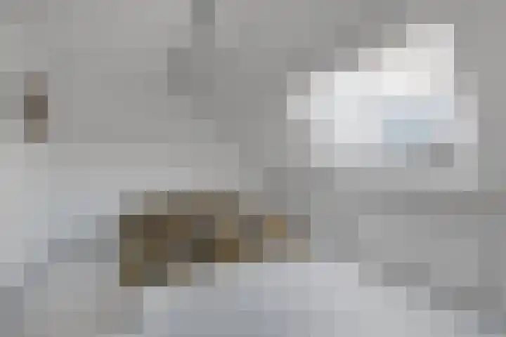 Zevenwoudenplantsoen 13 Haarlem thumbnail 8