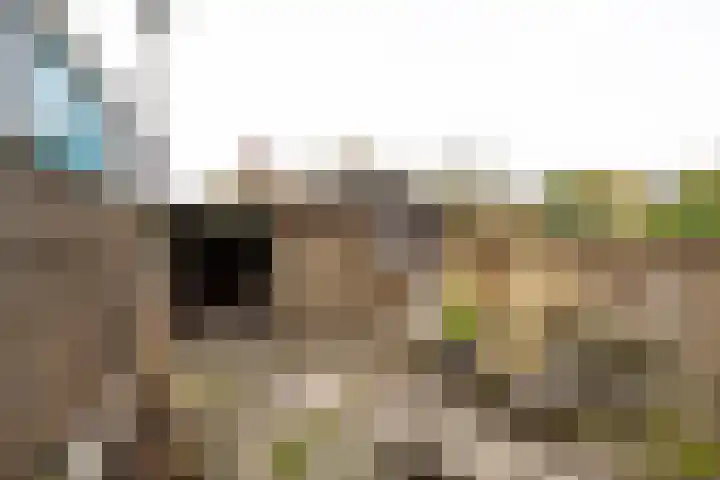 Zevenwoudenplantsoen 88 Haarlem thumbnail 13
