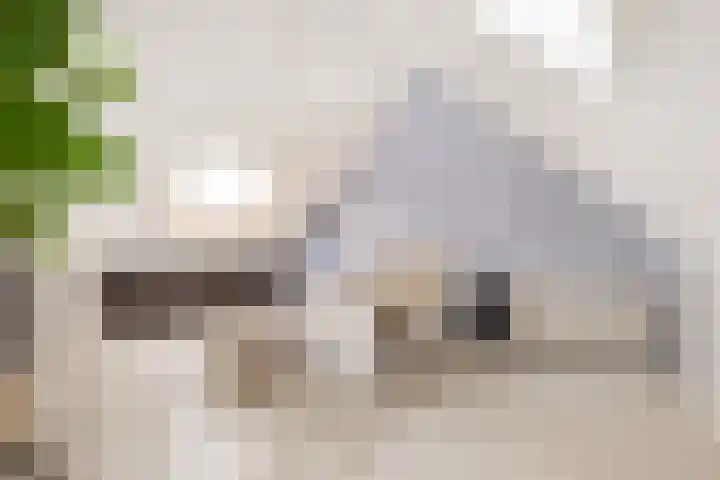 Zevenwoudenplantsoen 88 Haarlem thumbnail 21