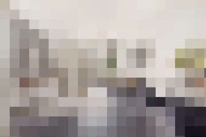Zevenwoudenplantsoen 88 Haarlem thumbnail 4