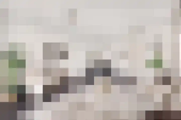 Zevenwoudenplantsoen 88 Haarlem thumbnail 6