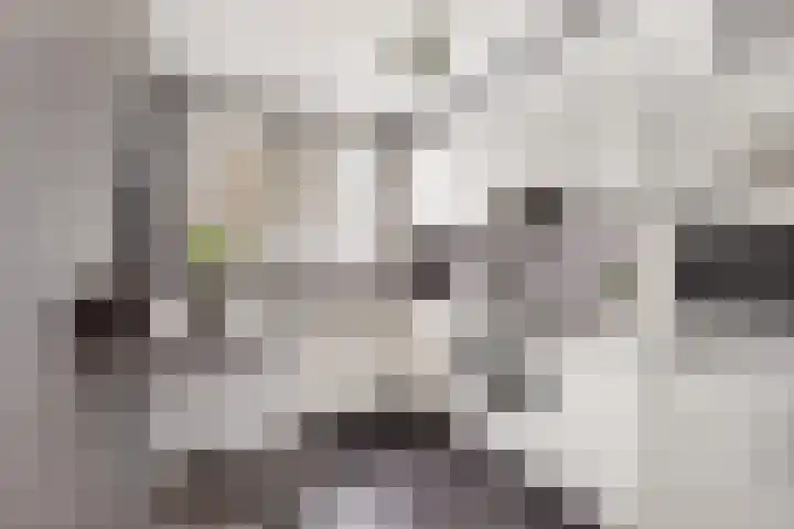 Zevenwoudenplantsoen 88 Haarlem thumbnail 9
