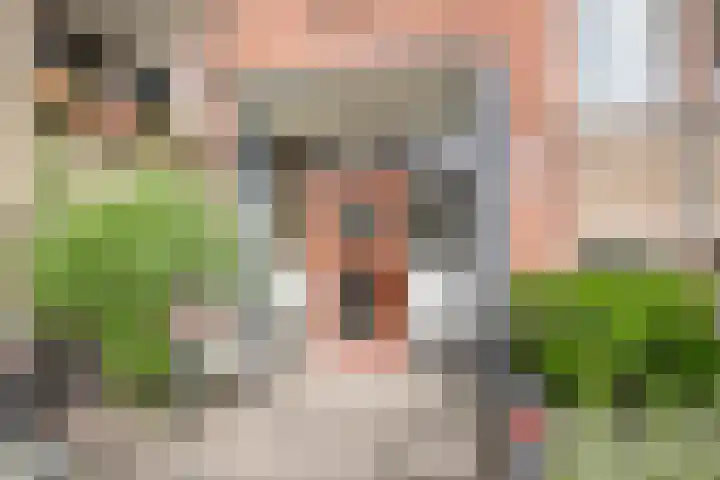 Zeverijnstraat 69 Hilversum thumbnail 22