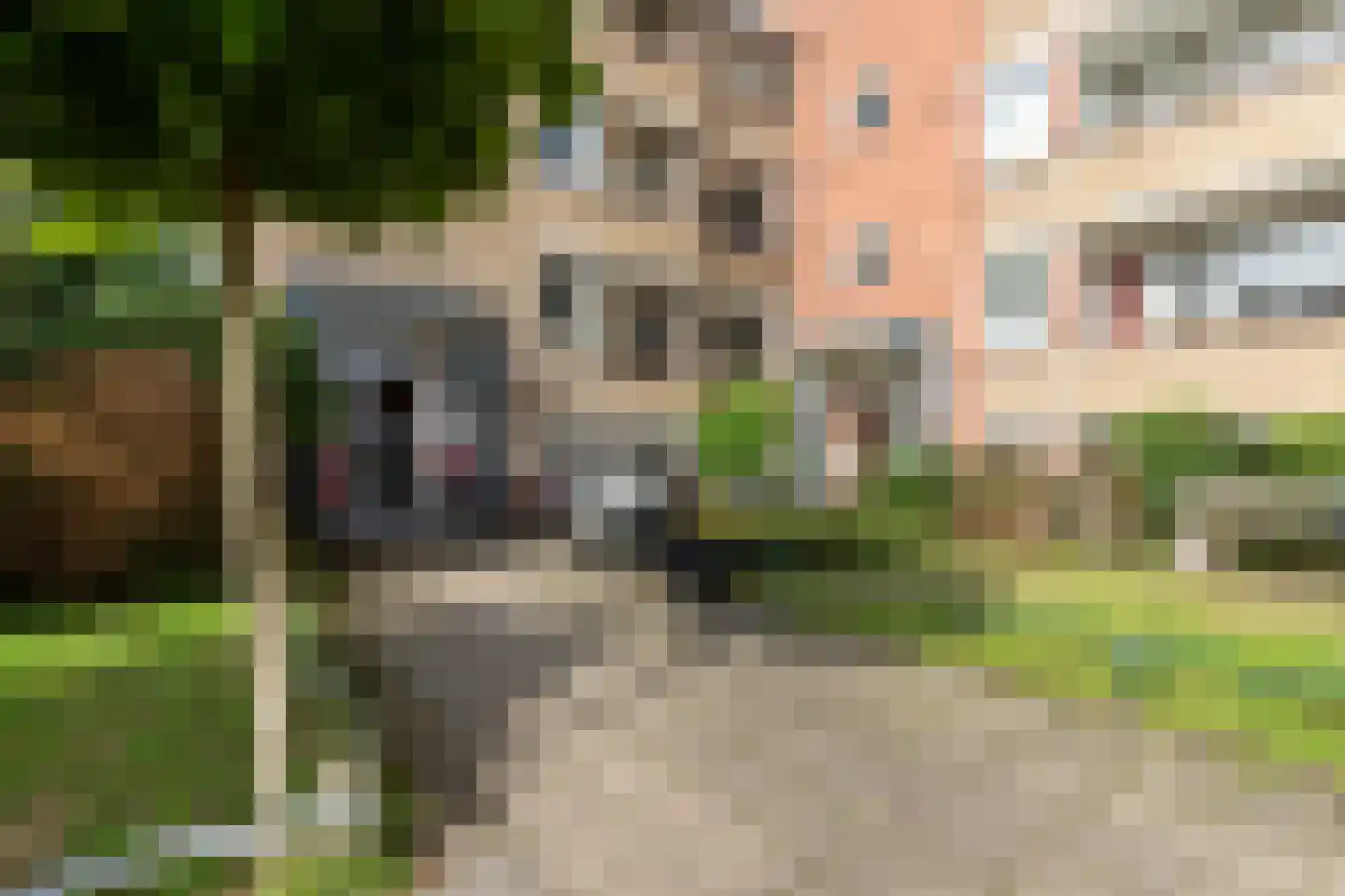 Zeverijnstraat 77 Hilversum thumbnail 5