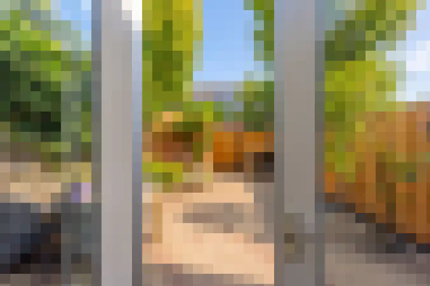 Zeyster Zand 8 Zeist thumbnail 11