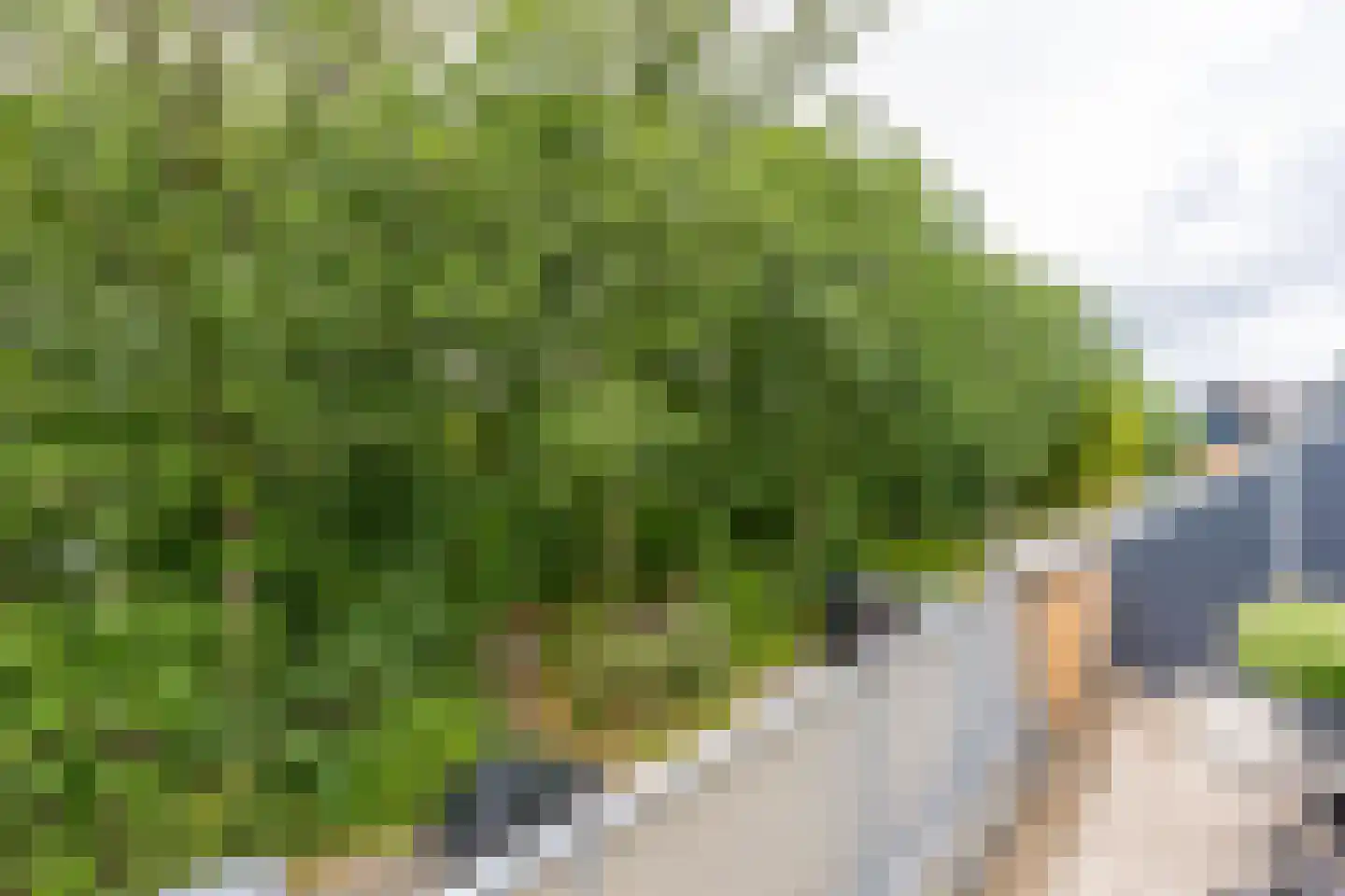 Zeyster Zand 8 Zeist thumbnail 27