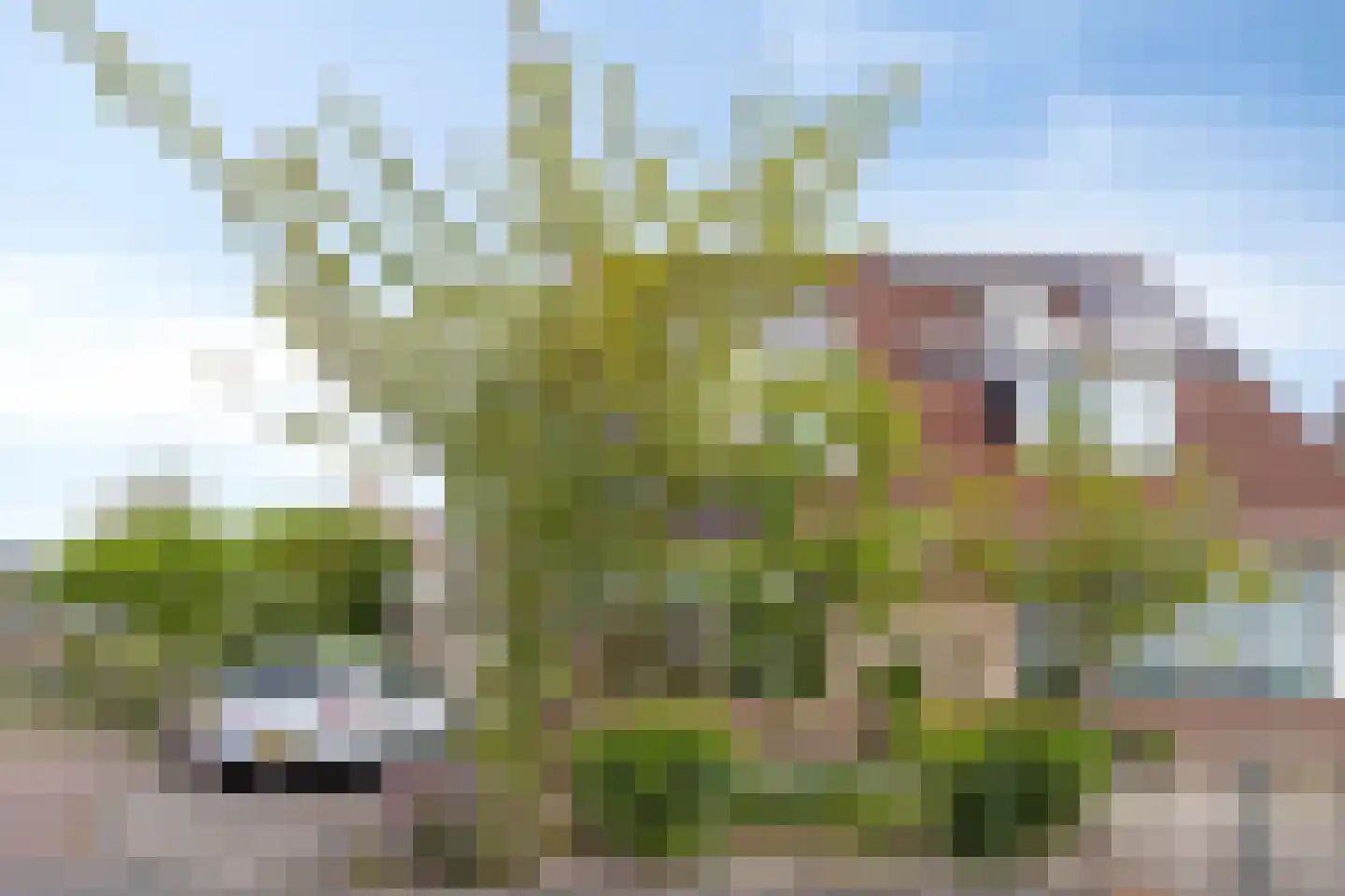 Zicht 1 Wieringerwerf thumbnail 5