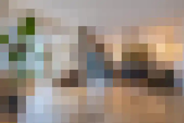 Zicht 1 Zevenbergschen Hoek thumbnail 17