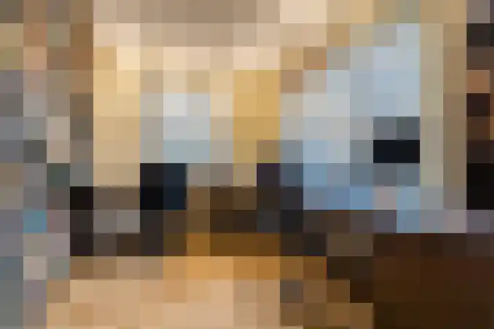 Zicht 1 Zevenbergschen Hoek thumbnail 19
