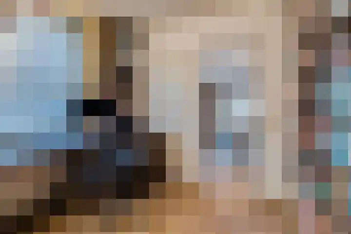 Zicht 1 Zevenbergschen Hoek thumbnail 20