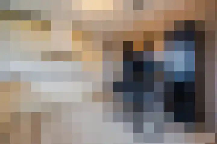 Zicht 1 Zevenbergschen Hoek thumbnail 22
