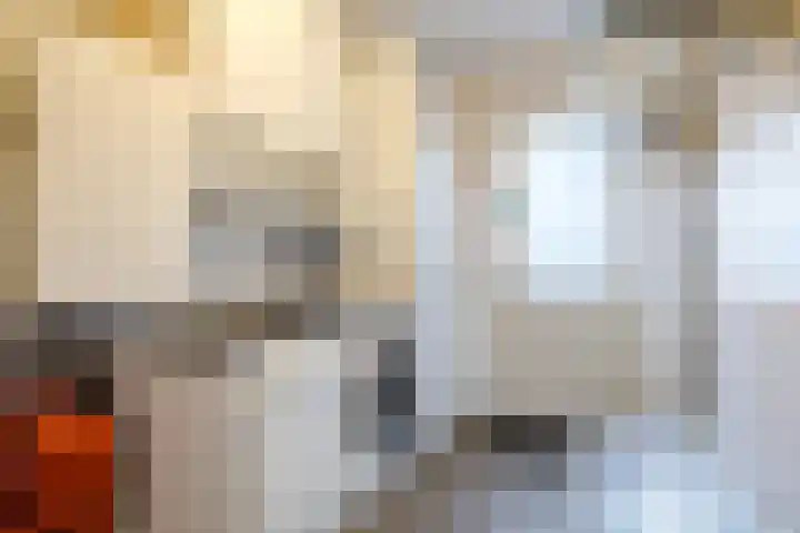 Zicht 1 Zevenbergschen Hoek thumbnail 25
