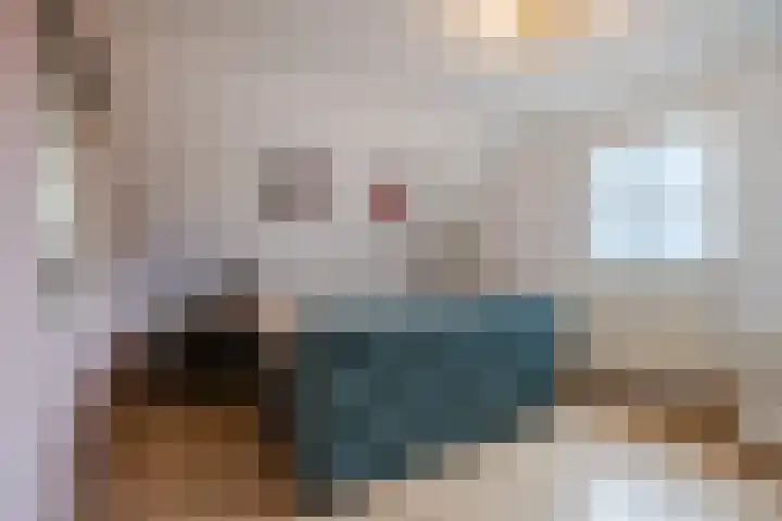 Zicht 1 Zevenbergschen Hoek thumbnail 30