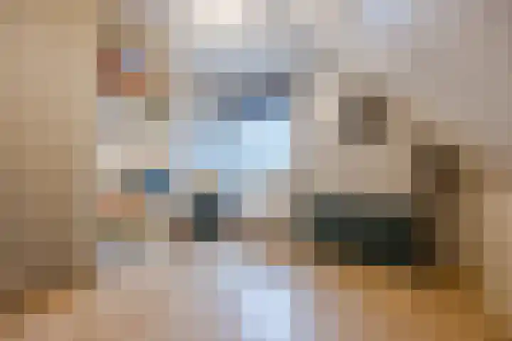 Zicht 1 Zevenbergschen Hoek thumbnail 35