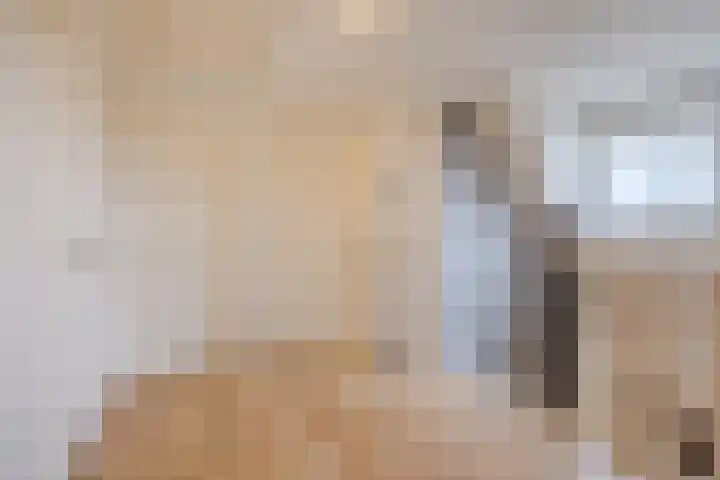 Zicht 1 Zevenbergschen Hoek thumbnail 41