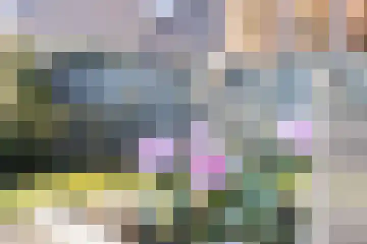 Zicht 1 Zevenbergschen Hoek thumbnail 49