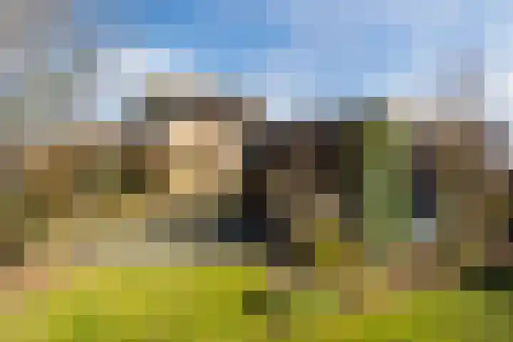 Zicht 1 Zevenbergschen Hoek thumbnail 52