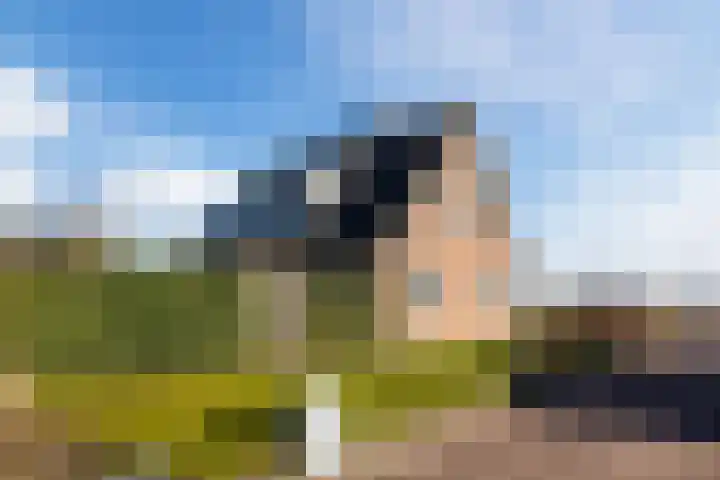 Zicht 1 Zevenbergschen Hoek thumbnail 64