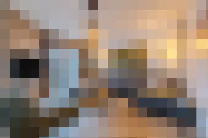 Zicht 1 Zevenbergschen Hoek thumbnail 9