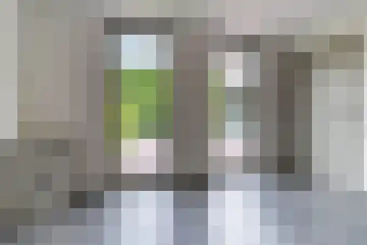 Zicht 12 Gemonde thumbnail 13