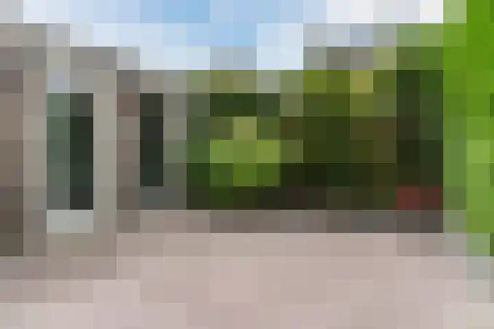 Zicht 12 Gemonde thumbnail 25