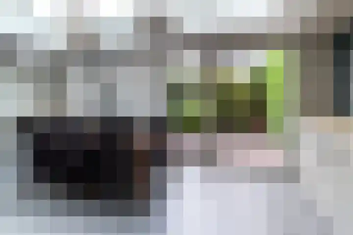 Zicht 12 Gemonde thumbnail 7