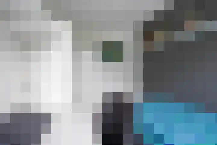 Zicht 18 Delfzijl thumbnail 21