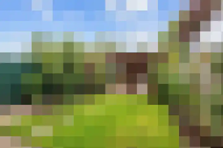 Zicht 18 Delfzijl thumbnail 40