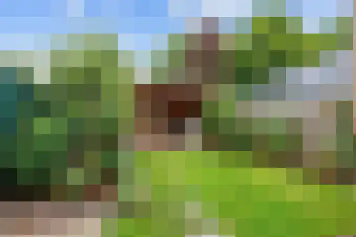 Zicht 18 Delfzijl thumbnail 41