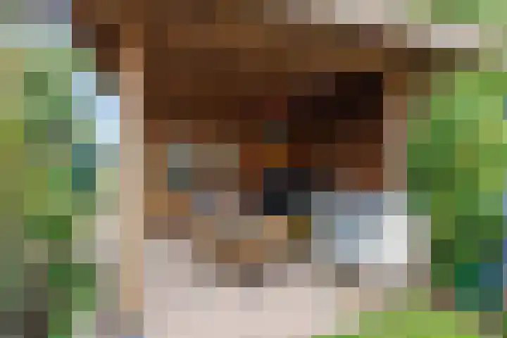 Zicht 18 Delfzijl thumbnail 42