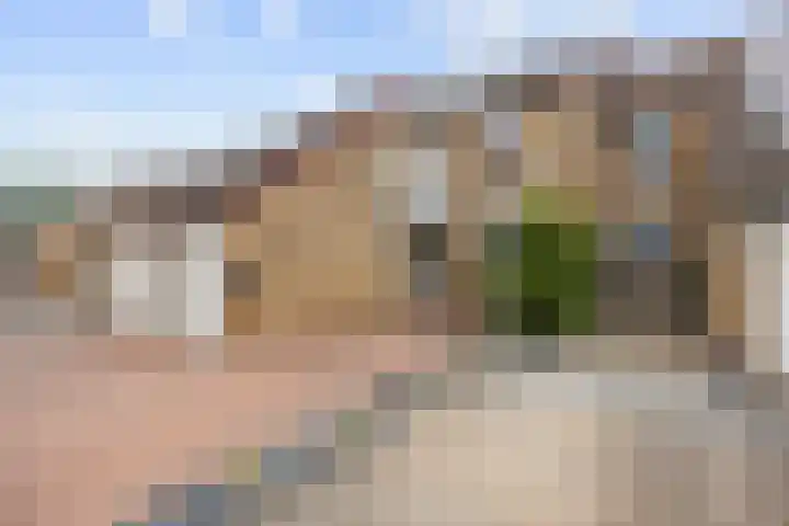 Zicht 18 Delfzijl thumbnail 48