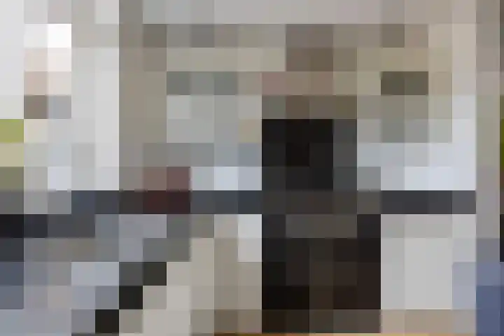 Zicht 18 Delfzijl thumbnail 8