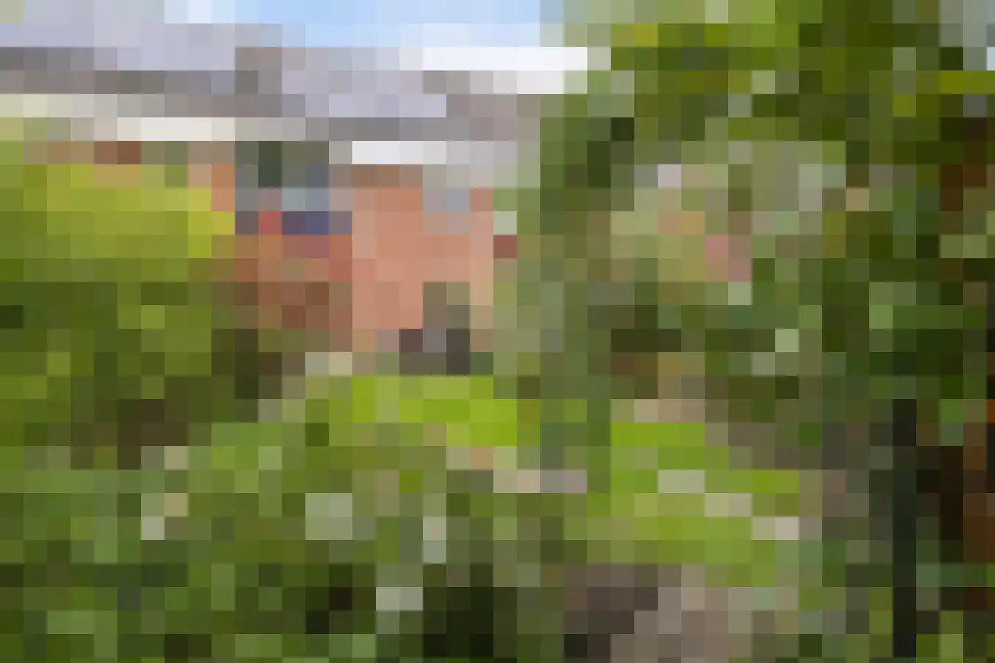Zicht 21 Delfzijl thumbnail 41