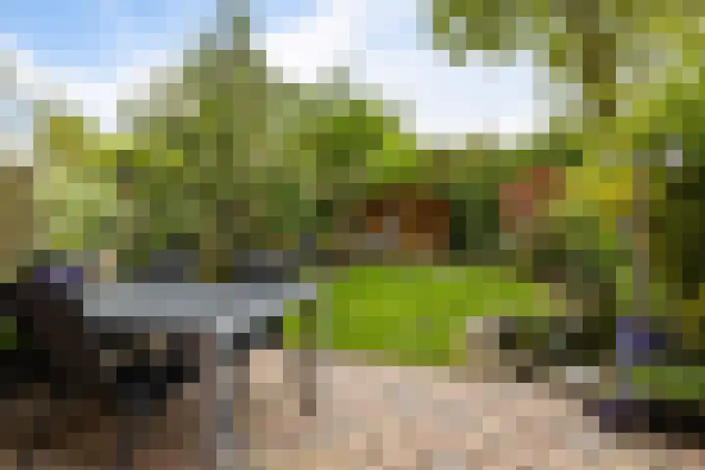 Zicht 21 Delfzijl thumbnail 42