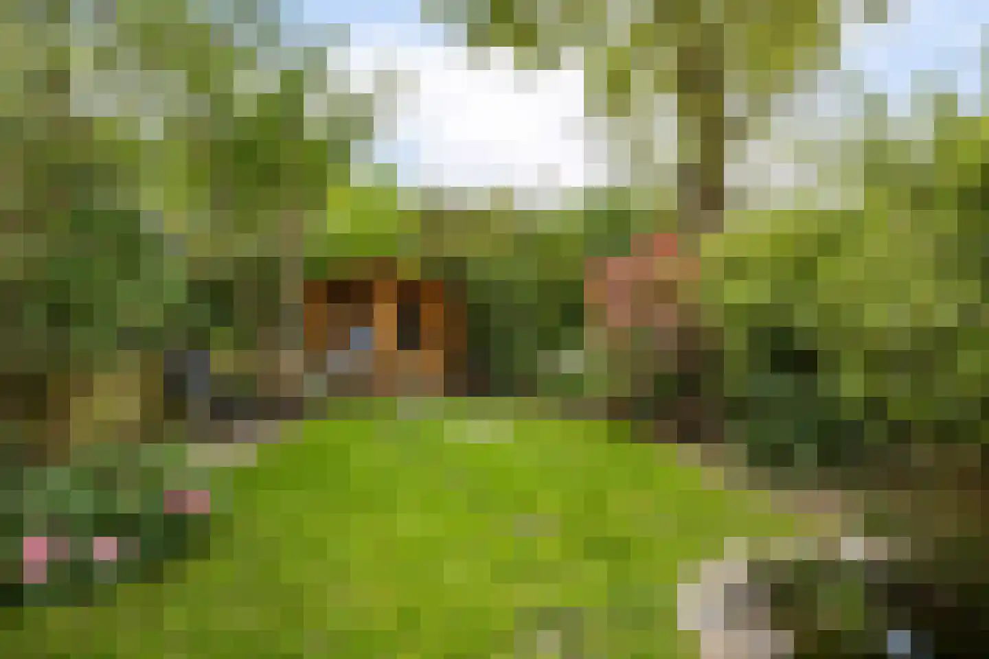 Zicht 21 Delfzijl thumbnail 44