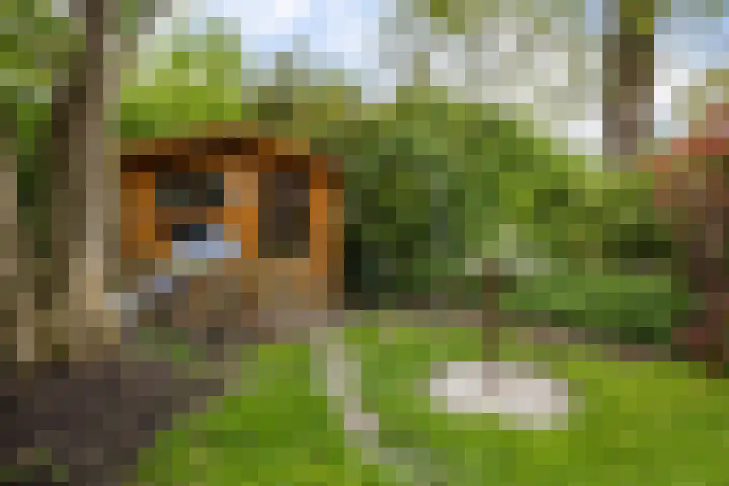Zicht 21 Delfzijl thumbnail 45