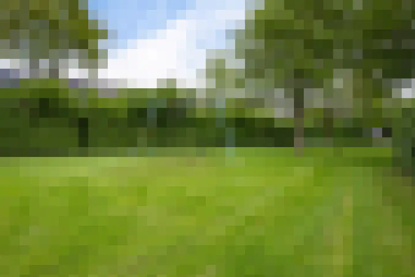 Zicht 21 Delfzijl thumbnail 47