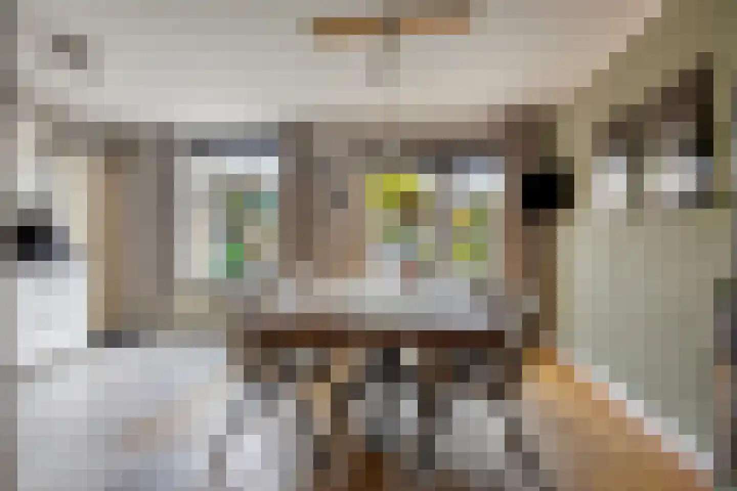 Zicht 29 Vriezenveen thumbnail 10