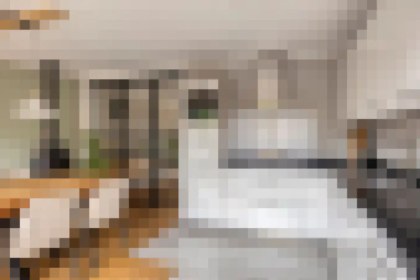 Zicht 29 Vriezenveen thumbnail 13