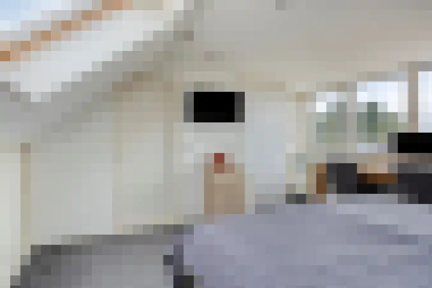 Zicht 29 Vriezenveen thumbnail 28